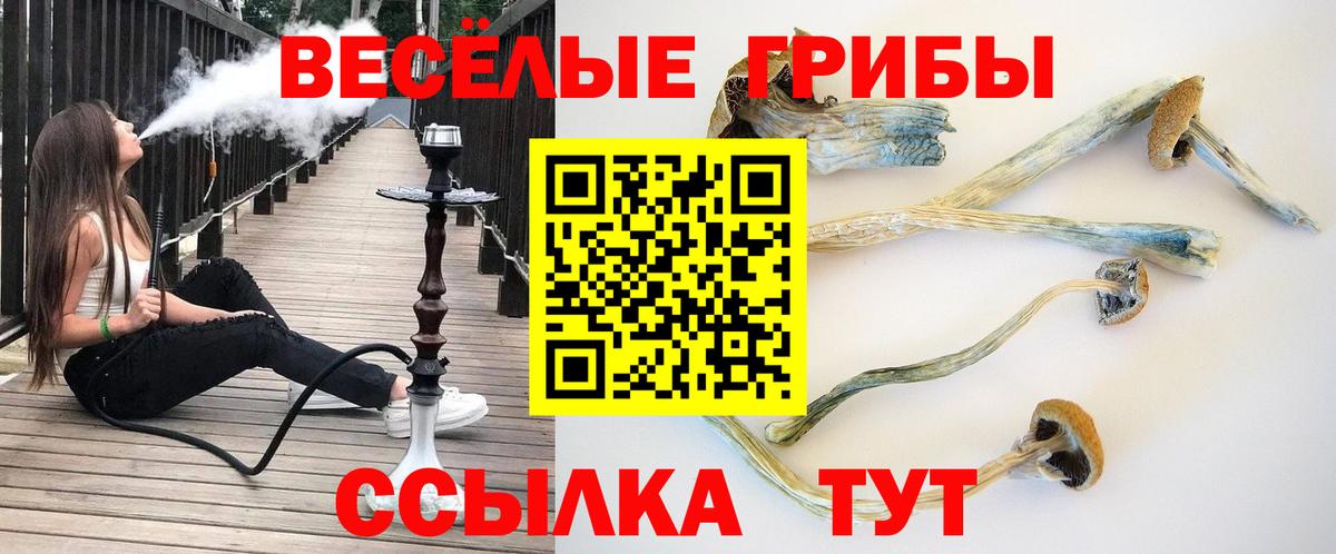 Галлюциногенные грибы Magic Shrooms  Вход с VPN  Первоуральск 